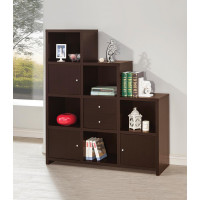Coaster Furniture 801170 Bookcase with Cube Storage Compartments Cappuccino